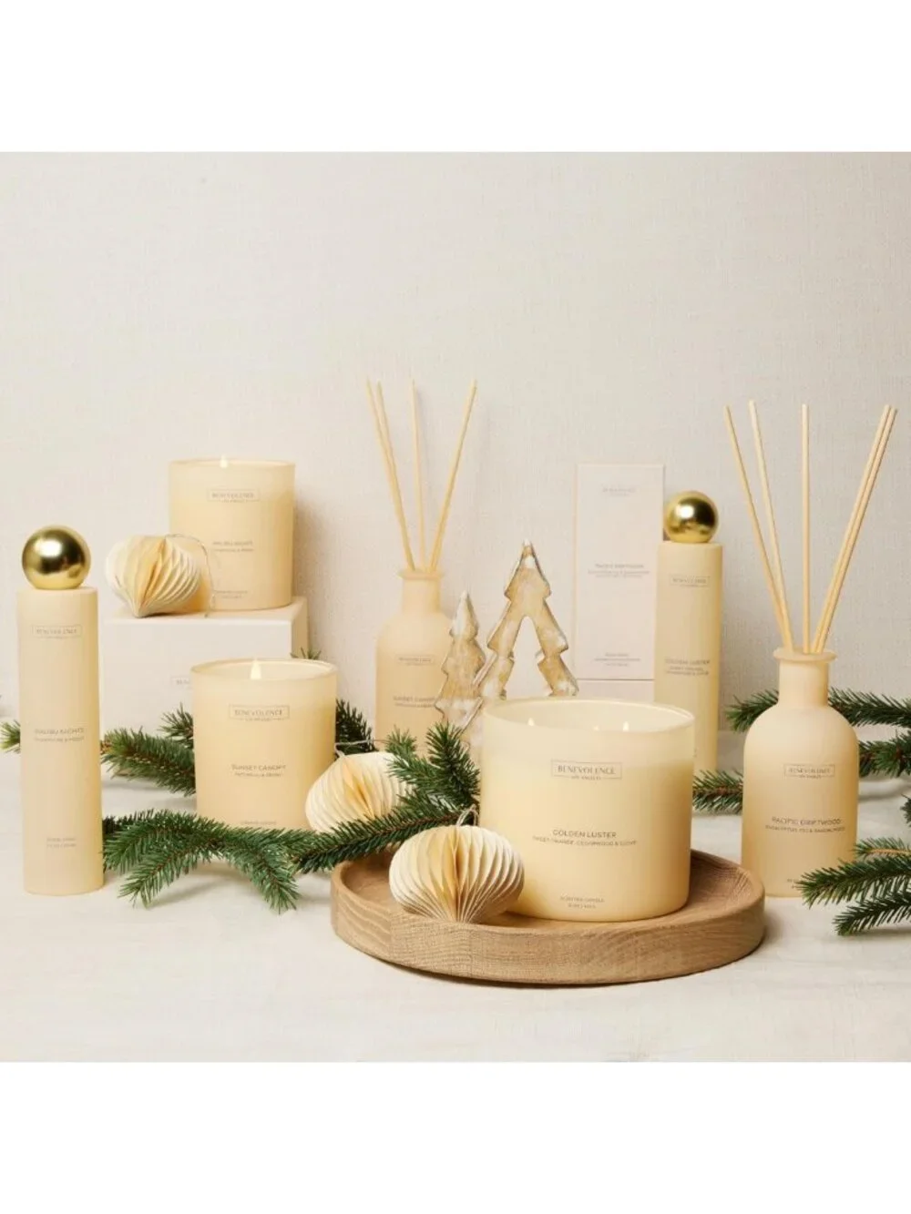 Large 3-Wick Scented Candle - Orange, Cedarwood & Clove | 15oz, 50-Hour Burn